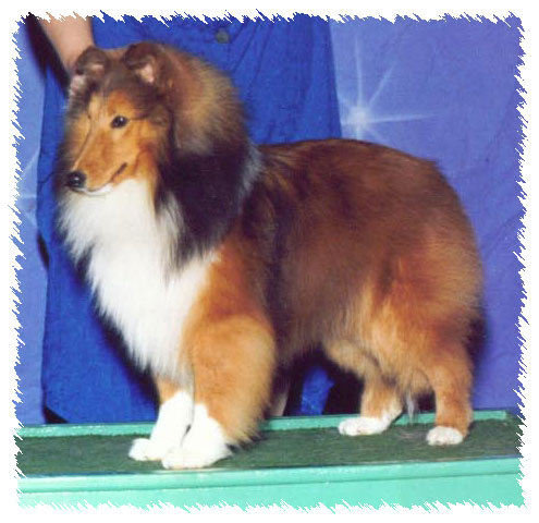 4/24/04 -- Compare this picture with his older one and see how much he has matured!