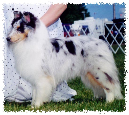 Picture taken 6-19-04, for a 2-point RWD