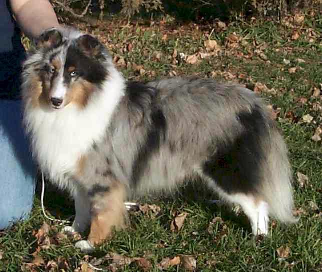 TJ, pictured at 15 months