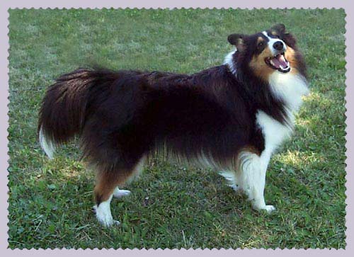 Dallas Laughing at me as I try to take her picture, 15 months