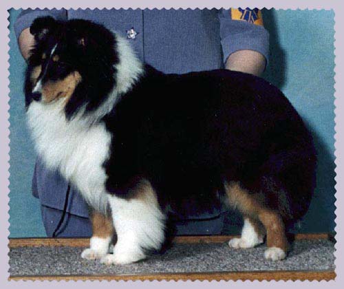 Thank you Judge Mark Lucas for this prestigious win!