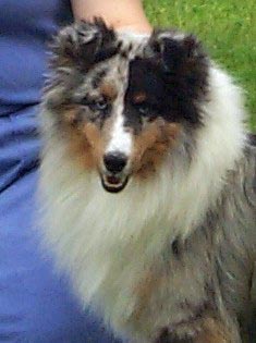 TJ headshot at 1 yr old