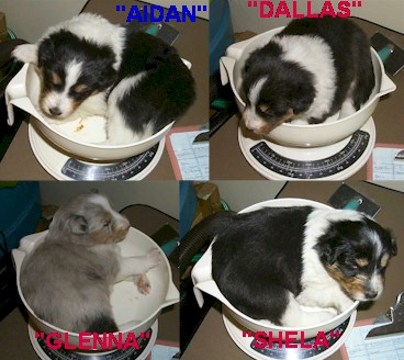 Don't they look silly?