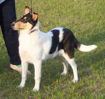 Click on her picture for more information