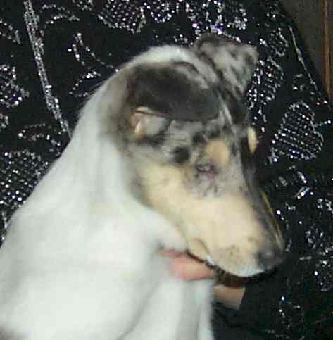 Picture taken at 8.5 weeks