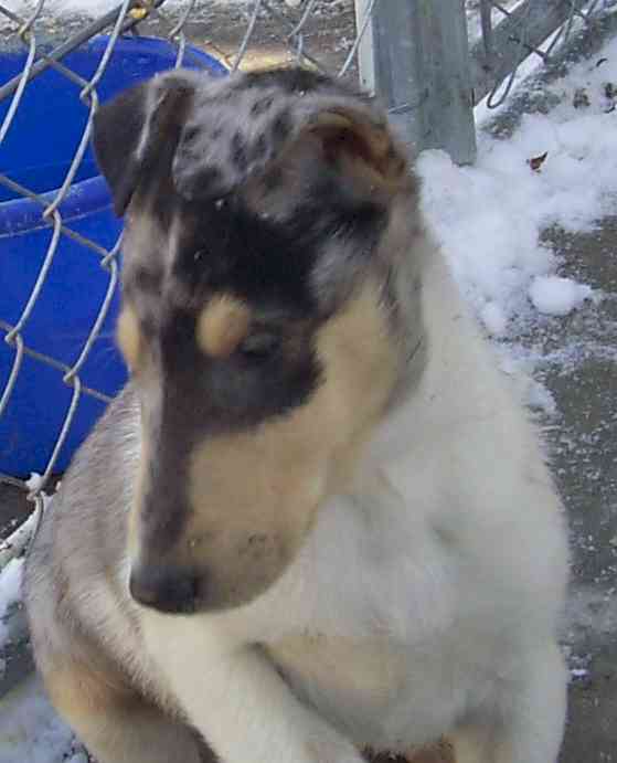 Picture taken at 8 weeks old