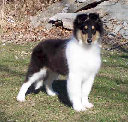 Isn't she GORGEOUS???